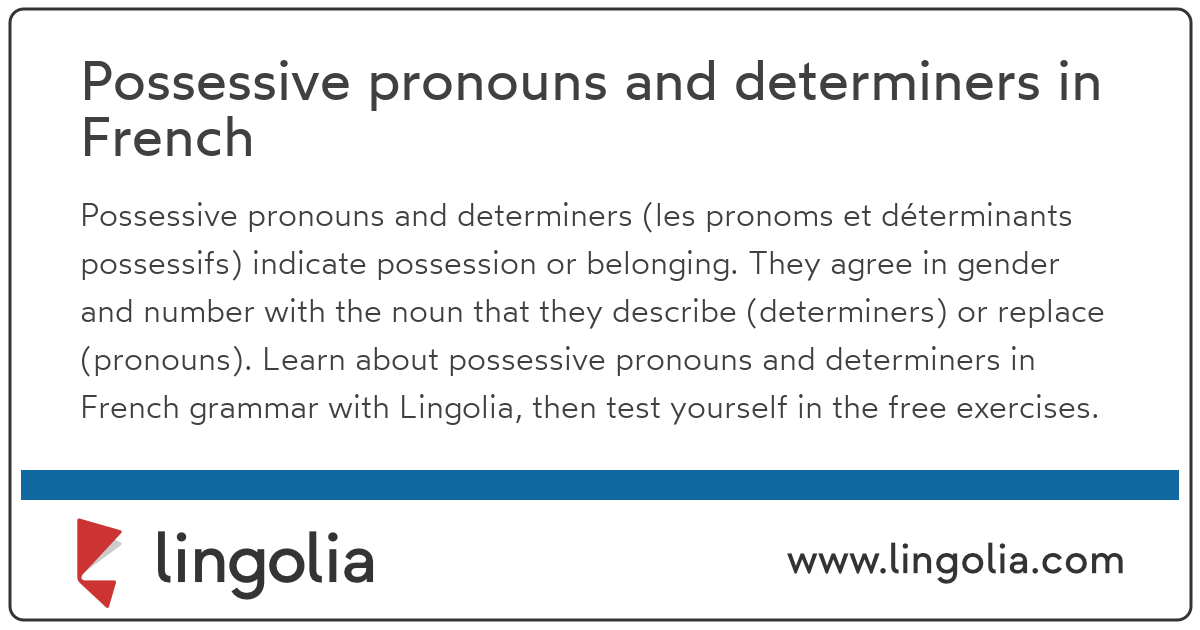 possessive-pronouns-and-determiners-in-french